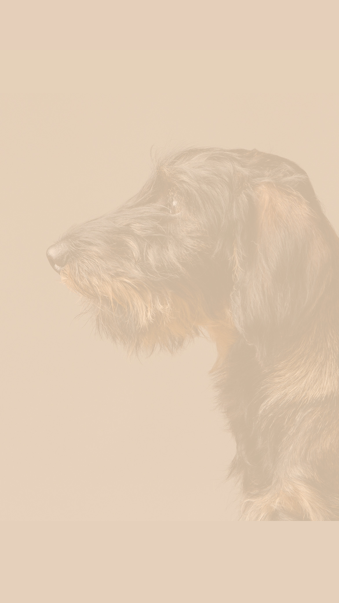 e0781bb1 bfdb 4849 98b3 8c9556991551